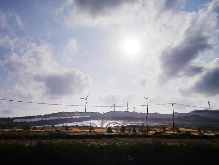 Điện gió và điện mặt trời tại Quy Nhơn. Ảnh: Phương Anh